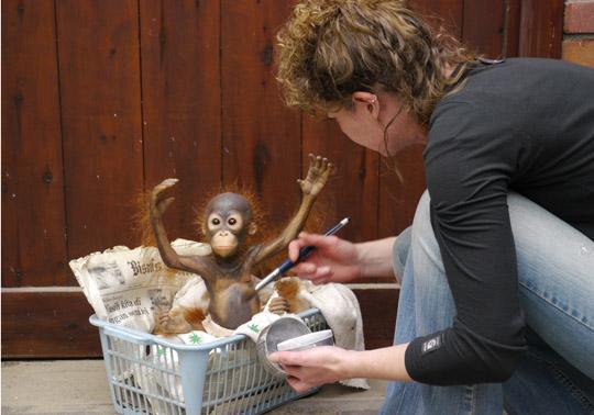 realistic sculpture orangutan Annerose