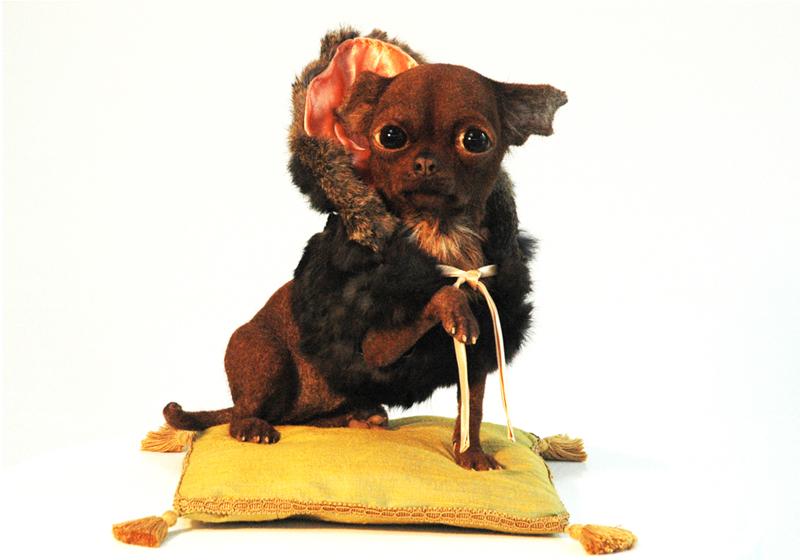 dog sculpture